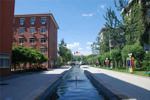 北京中加學校