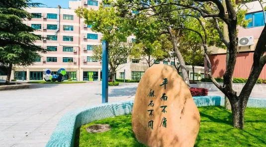 平和哲學(xué)、世外二外、WLSA上海菁英課程......盤點上海國際學(xué)校“殺手锏”課程！